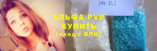 шишки Корсаков