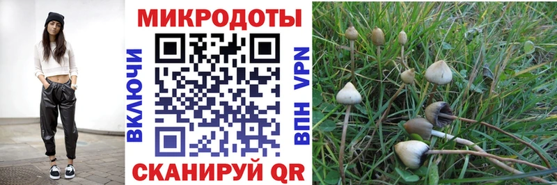 Купить  Дигора  Галлюциногенные грибы мухоморы 